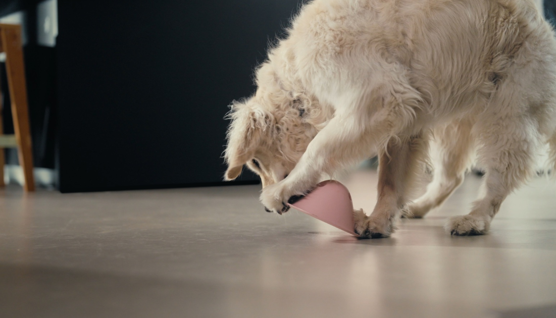 Flevo Bowly dog toy makes thinking a game and also challenges your dog’s key drives